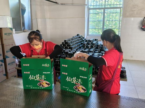 年順食品廠 守護贛南餐桌安全，共筑健康生活新未來