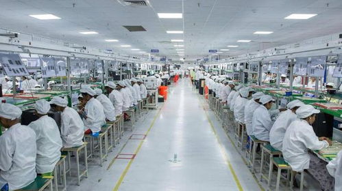 驅(qū)逐中國企業(yè)后，印度面臨技術(shù)瓶頸與供應(yīng)鏈危機(jī) 西方斷供威脅下的困境與反思